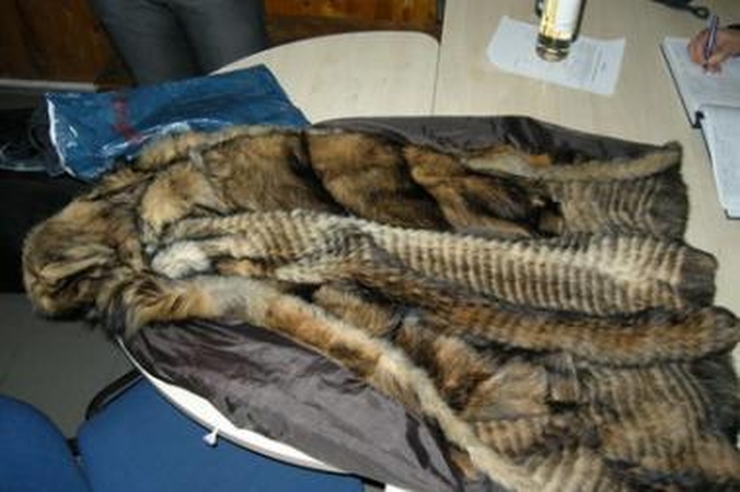 Policija sulaikė labai „turtingą“ vagišių