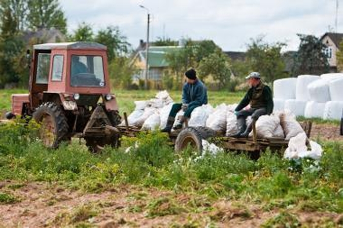 Eurostatas: žemdirbių pajamos Lietuvoje krito labiausiai Baltijos šalyse