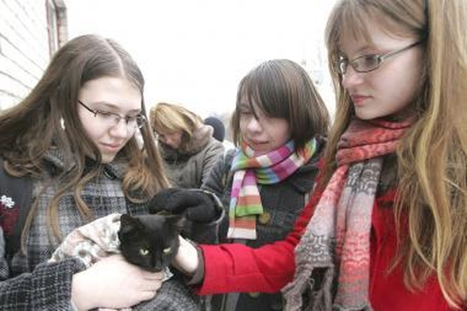 Gimnazistė priglaudė benamį kačiuką