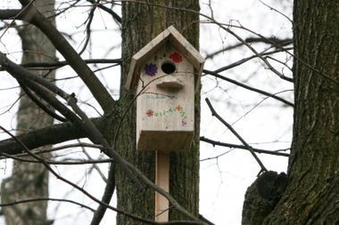 Skulptūrų parke iškėlė inkilus