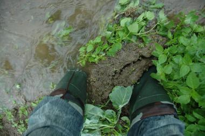Aleksoto gyventojos kieme - pusės metro gylio bala