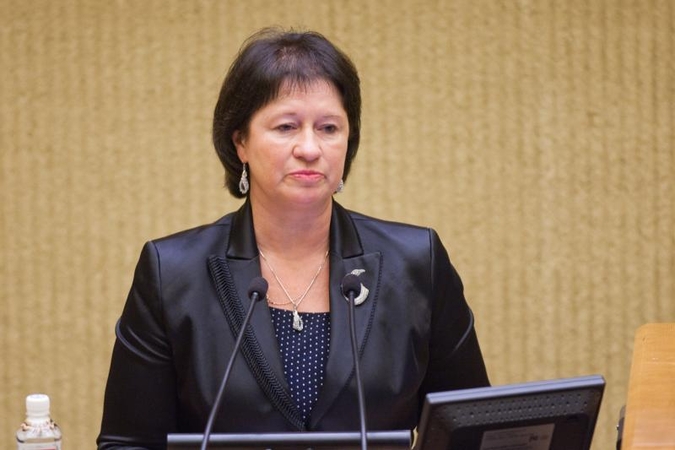 „Darbietė“: nebuvo pažeidimų, kad reikėtų naikinti rinkimų rezultatus