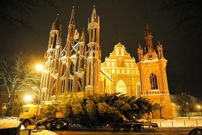 Šiąnakt į Vilniaus Rotušės aikštę atkeliavo Kalėdų eglė