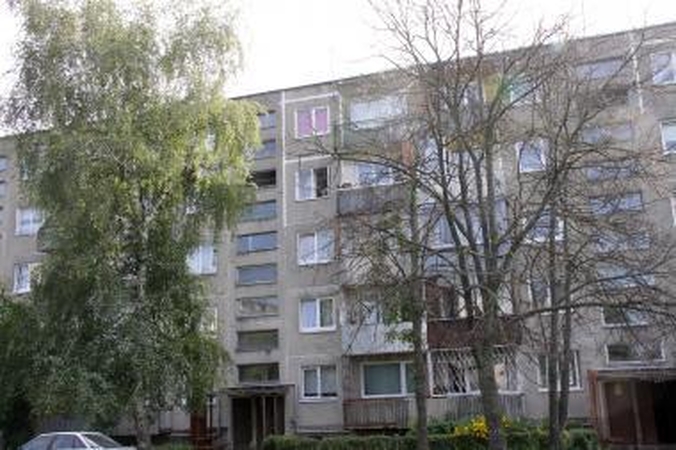 Škvalo pamokos: kaip pasodinti medį, kad jo nereikėtų pjauti