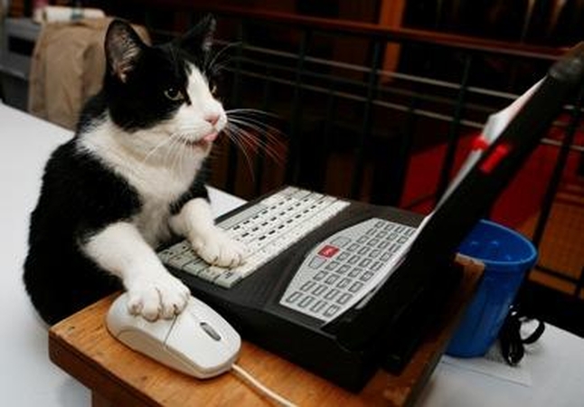 Charakterį atskleidžia el. pašto adresas