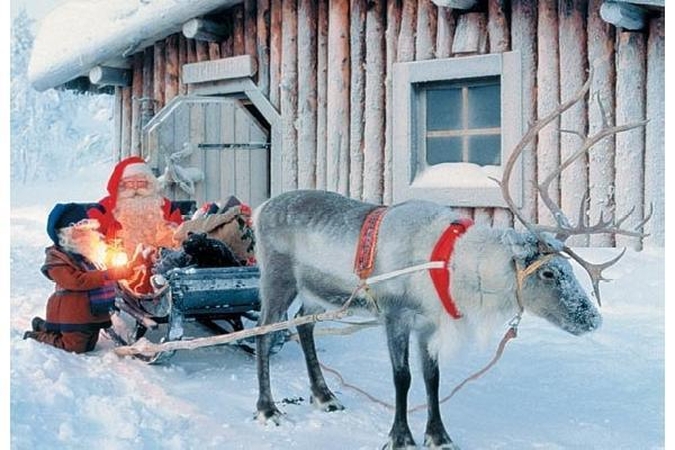 Kalėdų Senelio elnius ekspertai pataria pažymėti atšvaitais