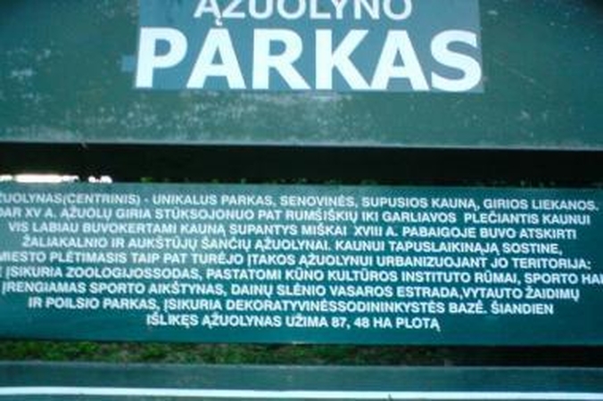 Informacijos lentelė – su gausybe klaidų
