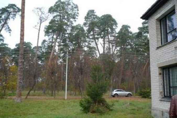Kulautuvoje savavališkai statomi namai