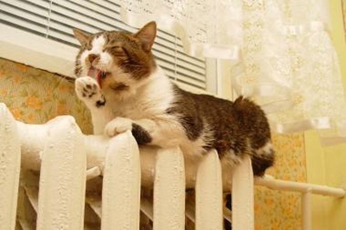 Brangstant šildymui taupo trečdalis gyventojų, tiek pat nedaro nieko 