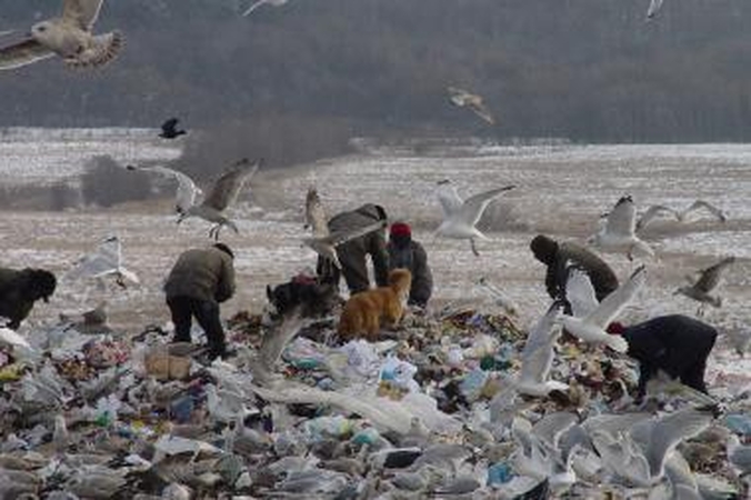 Pradedamas tvarkyti Kiškėnų sąvartynas
