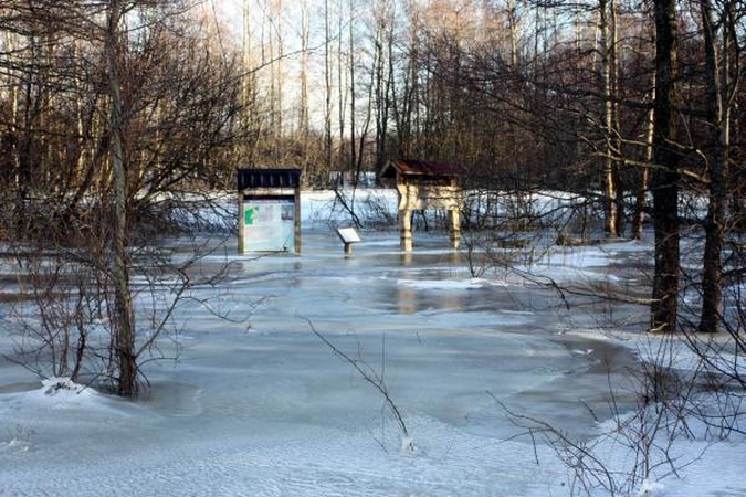 Nuleidus Vokės upę per užtvanką, apsemtose teritorijose vanduo slūgsta lėtai