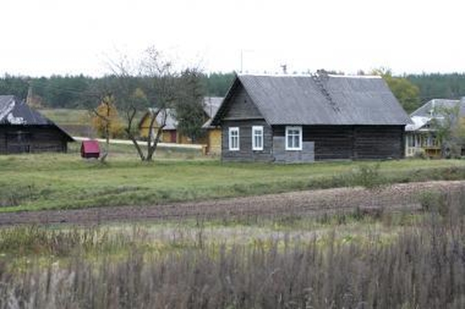 Idealiausias šeimos laisvalaikis – sodyboje ar kaime 