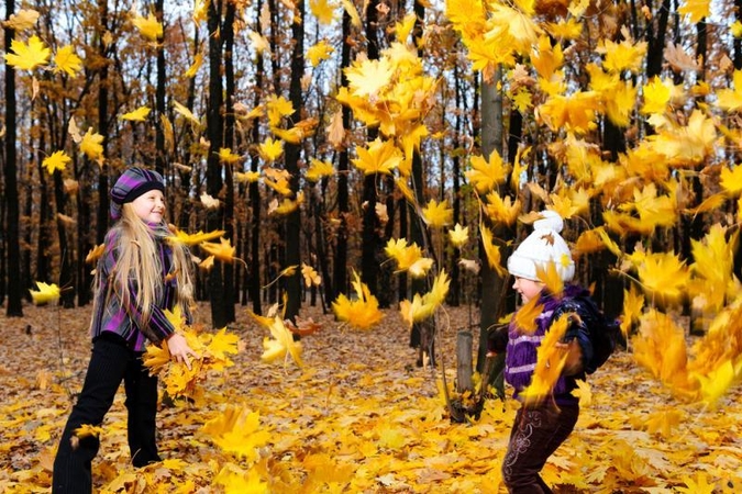 Švęsti auksinio rudens – į Sąjūdžio parką