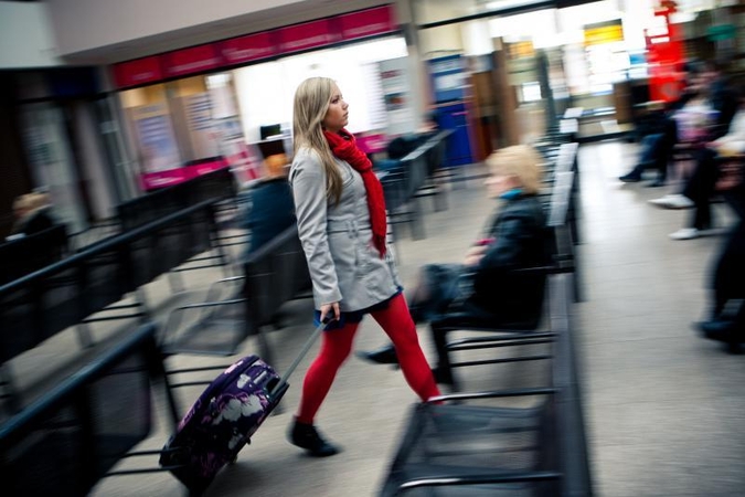 I.Degutienė: dėl emigracijos praverstų mokslininkų ir psichologų analizė