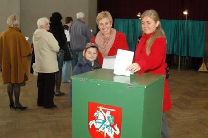 Rinkimų naujovės: lipdukus keičia Konstitucijos