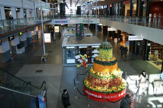 Floristas M. Gvildys sukūrė didžiausią šalyje vaisių tortą (foto)