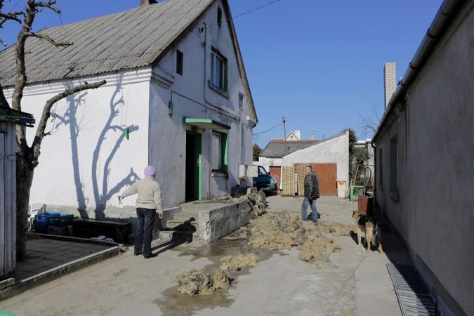 Per gaisrą uostamiestyje žuvo trys gyvūnai (atnaujinta)