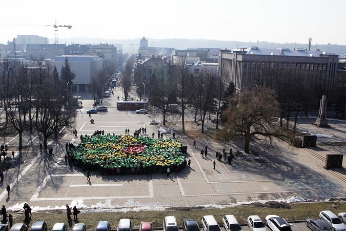 Vienybės aikštėje pražydo trispalvis žiedas