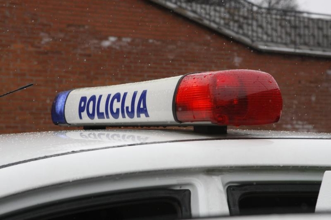 Įkliuvo neblaivus Druskininkų valdininkas, vežęs negyvą šerną