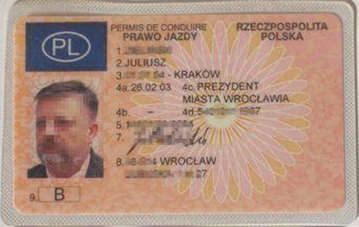 Lenkų vairuotojai mulkina Airijos policiją
