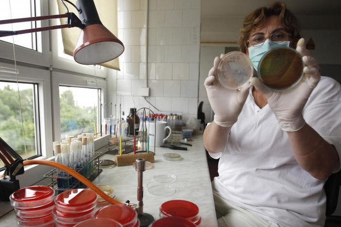 E.coli į Europą atkeliavo iš Egipto?