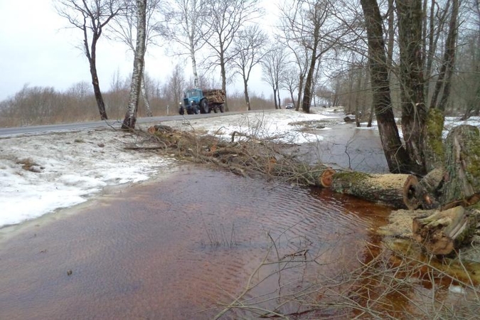 Tarp Šilutės ir Rusnės - artėjančio potvynio ženklai (papildyta) 