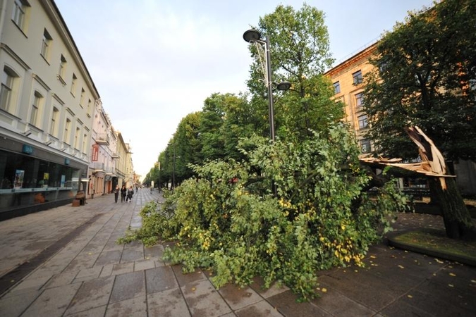 Kauną aptalžęs škvalas nepagailėjo ir „Jaguaro"