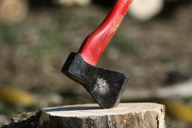 Žmonai pirštą nukirtęs vyras kalės beveik dvejus metus