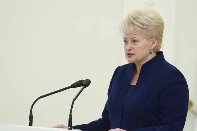 Prezidentė vetavo išimtis partijoms dėl viešųjų pirkimų rengimo