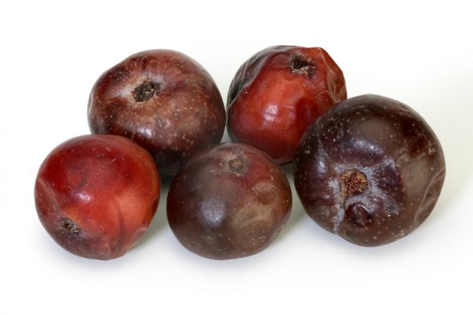 Supervaisius malpigija: vitamino C užtaisas