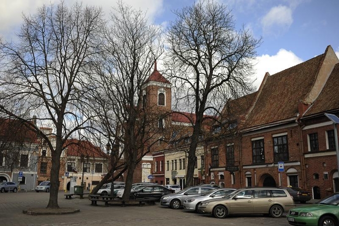 Rotušės aikštėje grėsmę keliantys medžiai neišvengs pjūklo