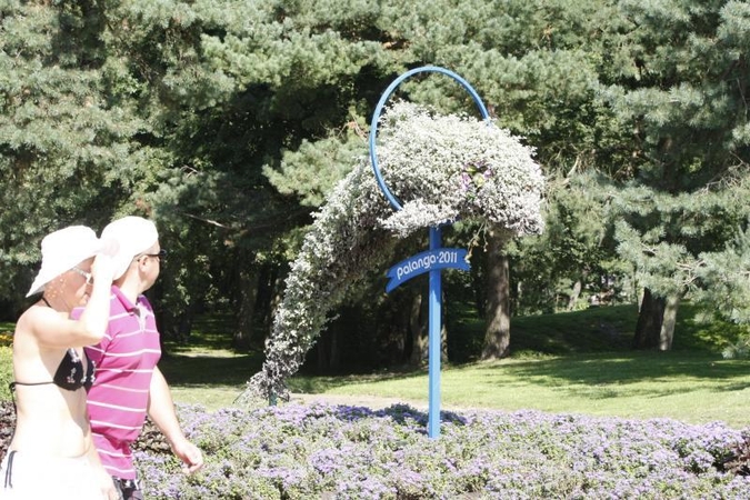 Palangos želdinių priežiūrai - milijonas litų per metus