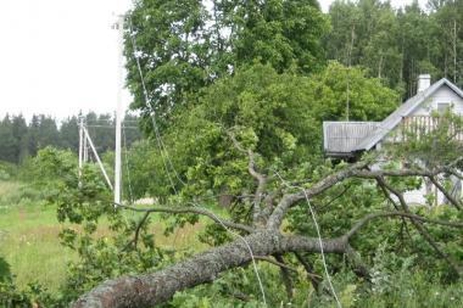 RST dėl audros patyrė per 1 mln. litų nuostolių