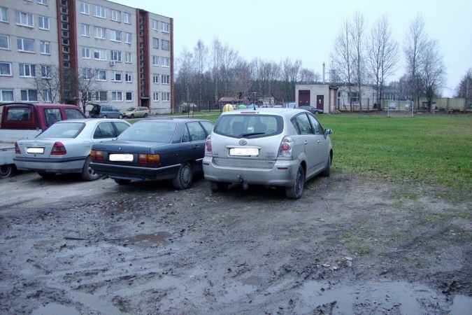 Per slaptą operaciją Kaune sulaikyti du įtariami automobilių vagys