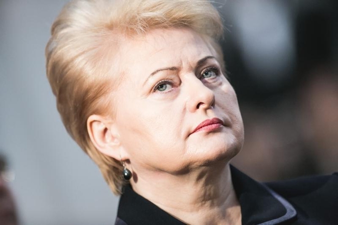 D. Grybauskaitė ragina ieškoti naujo kandidato į ūkio ministrus