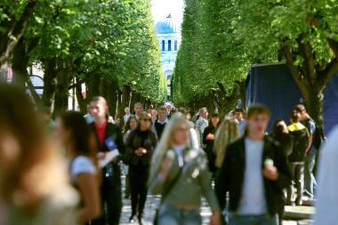 Laisvės alėja skaičiais: nuo  būsto kainų iki taupymo saugumui