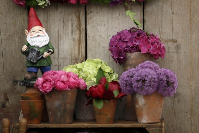 Čelsio gėlių parodoje šiemet dalyvauja ir sodo nykštukai