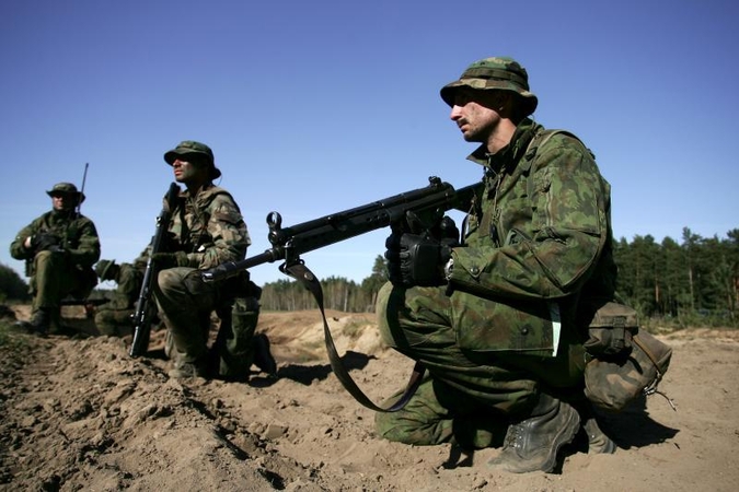 Ministrė: jei gynybos finansavimas neaugs, reiks mažinti kariuomenę