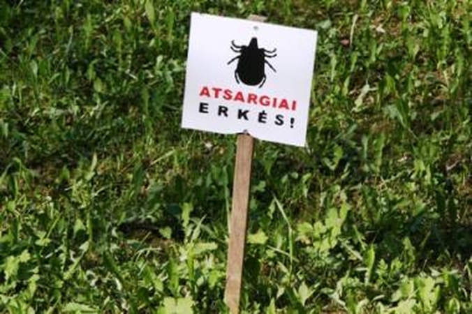 Šiemet Lietuvoje jau užregistruoti 145 Laimo ligos atvejai