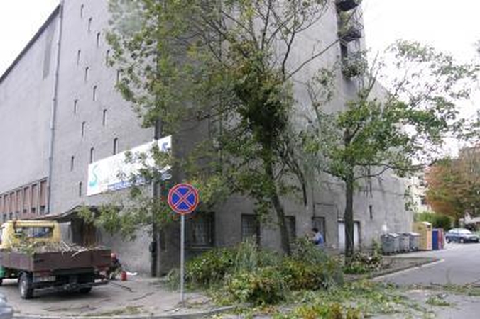Vėjas laužė medžius, traukė elektros linijas