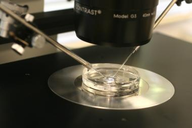 Mokslininkai laboratorijoje pasigamino spermos