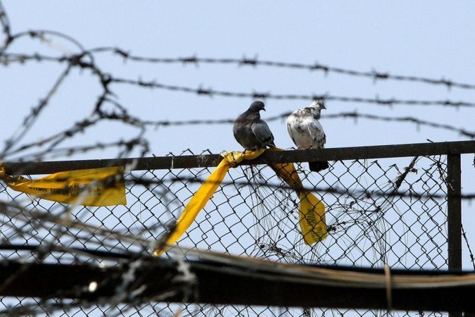 Už du avarijoje pražudytus jaunuolius – 10 metų kalėjimo