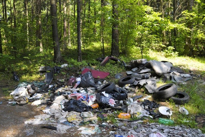 Didžiausias Kauno miškų siaubas – šiukšlintojai