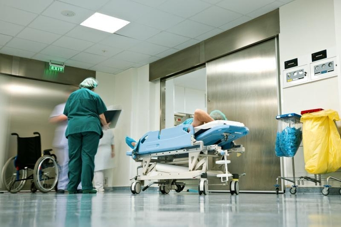 Austrijoje nustatytas didelio patogeniškumo paukščių gripas