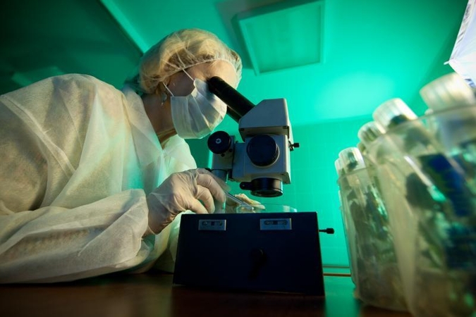 Ekspertas: dėl „popierinių“ chemijos, fizikos egzaminų nukenčia vaikai