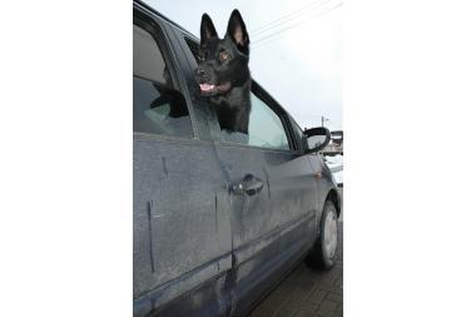 Nauja automobilio apsaugos idėja