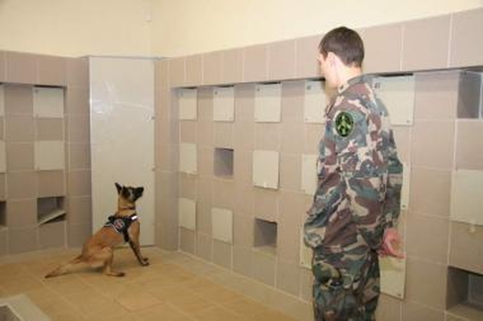 Po apatiniais neštus narkotikus suuodė tarnybiniai šunys