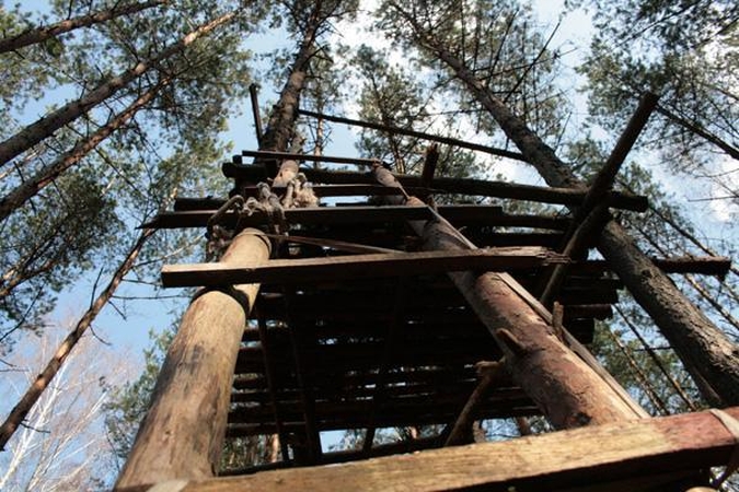 Viešbutis medžiuose: vaikystės svajonės virto pragyvenimo šaltiniu