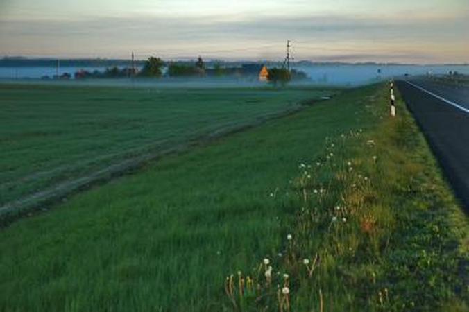 Per avariją Jurbarko rajone žuvo jaunas vyras