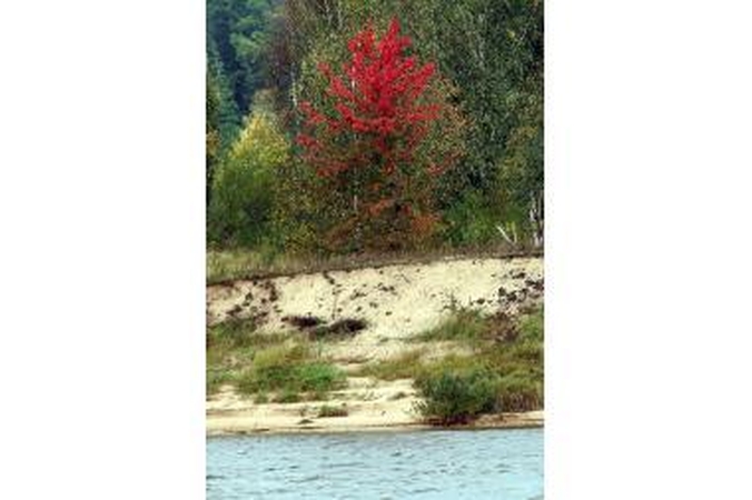 Bobų vasara blefuoja